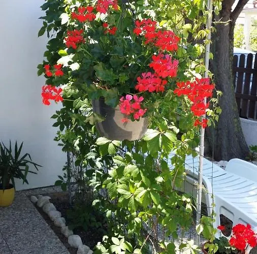 Appartement In Sabunike Mit Terrasse, Klimaanlage, W-lan Privlaka (Zadar)